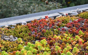 the cost of Ogbourne Maizey green roof installation