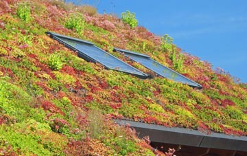 Ogbourne Maizey living roof systems