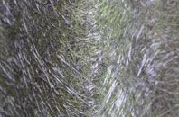 Ogbourne Maizey fibreglass roof work